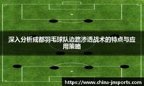 深入分析成都羽毛球队边路渗透战术的特点与应用策略